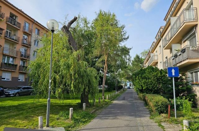 Policajti riešili kuriózny prípad, muž sa namiesto výkonu trestu odňatia slobody vlámal do auta a tam zaspal