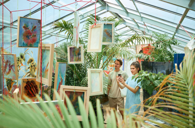 Botanickú záhradu UPJŠ v Košiciach čaká kultúrne leto. Na aké výstavy a vystúpenia sa môžete tešiť?