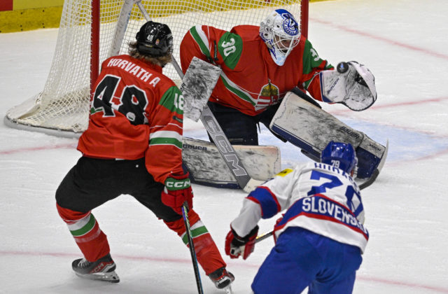 Ak si chcú slovenskí hokejisti zahrať na olympiáde, musia v nedeľu zdolať Kazachov (foto)