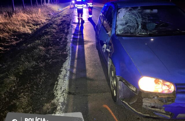 Neosvetleného chodca zrazilo auto, nehodu neprežil (foto)