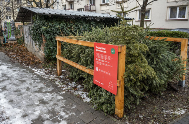 Bratislava od utorka začína so zberom vianočných stromčekov, odvážať ich budú až do 14. februára