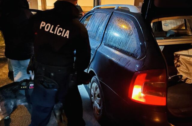 Protidrogová akcia Piknik bola úspešná, polícia zadržala deväť ľudí podozrivých z trestnej činnosti – FOTO
