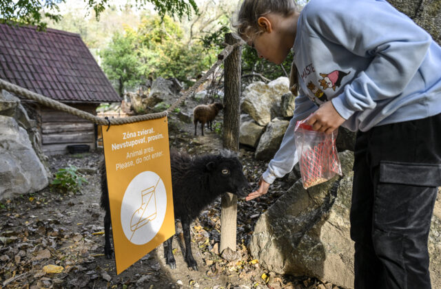 Bratislavská ZOO žiada o pomoc, v dôsledku opatrení pre slintačku a krívačku príde o tisíce eur