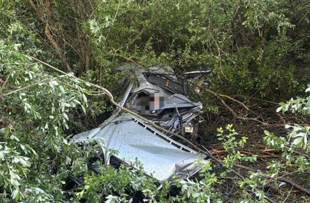 Tragické ráno na Záhorí, vodič neprežil náraz do stromu – FOTO