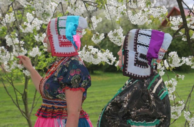 Paličkovaná čipka z Gemera bola zaradená do Zoznamu nehmotného kultúrneho dedičstva Slovenska