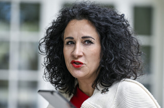 Progresívci podávajú dve trestné oznámenia, jedno sa týka prevozu busty Cecilie Gonzagy – VIDEO