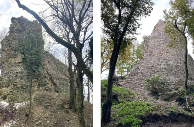 Spoločnosť Henkel Slovensko podporila dva výnimočné dobrovoľnícke projekty sumou 5 000 eur