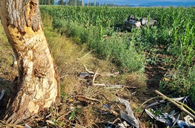 Tragická dopravná nehoda v okrese Levice, vodič neprežil náraz do stromu – FOTO