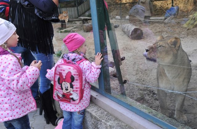 ZOO Bratislava otvára nové krúžky pre deti. Čakajú ich výpravy do divočiny, stretnutia so zvieratami aj záchranné programy