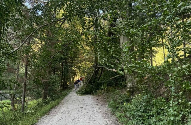 Horská služba varuje pred silným vetrom v Pieninskom národnom parku, vyzýva k mimoriadnej opatrnosti