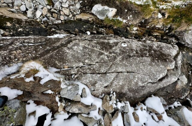 Pred polstoročím odhalili vo Vysokých Tatrách dinosaurie stopy, jednu kópiu majú v Múzeu TANAP-u