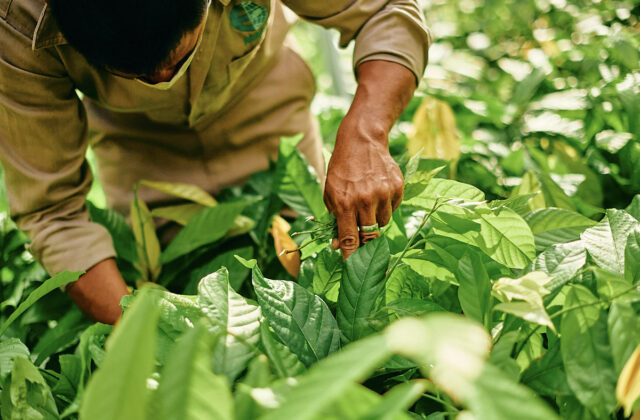 Mars dosiahol ďalšie absolútne zníženie emisií skleníkových plynov o 1,9 %