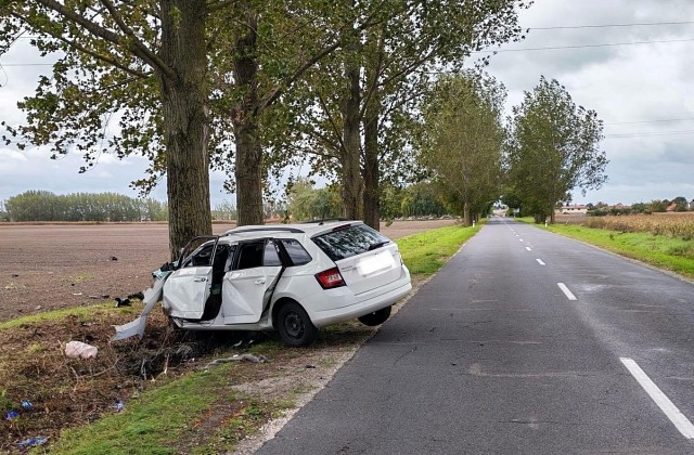 Vodič v okrese Dunajská Streda zišiel na rovnom úseku z cesty, čelný náraz do stromu neprežil – FOTO