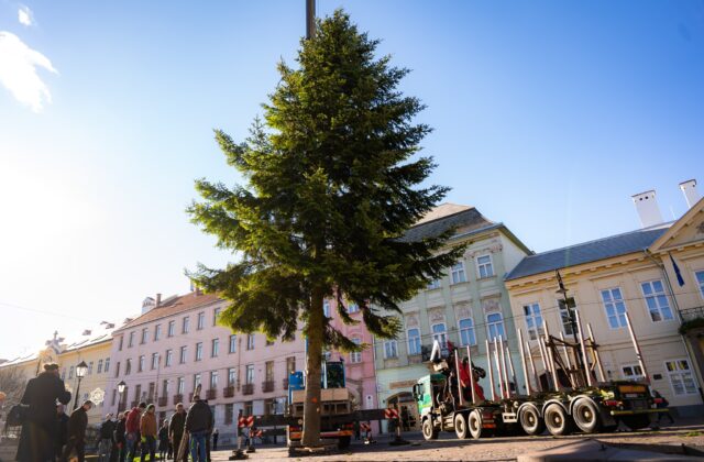 Košickú Hlavnú ulicu zdobí vianočný stromček, jedľa biela pricestovala do metropoly východu z Kysaku – VIDEO, FOTO
