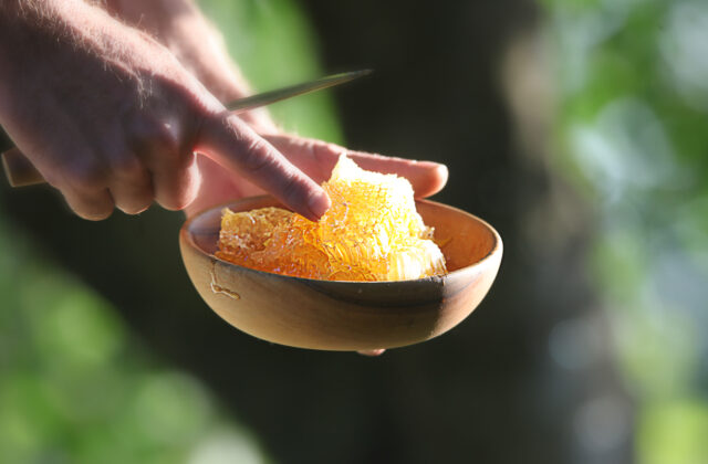 KRAJ už šiesty rok podporuje slovenských včelárov