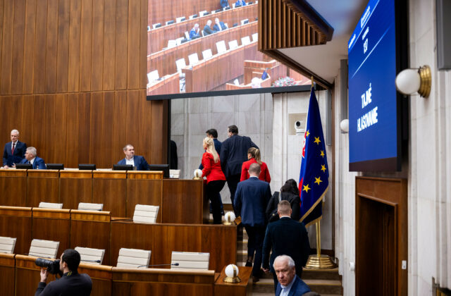 Minulotýždňové dianie v NR SR je podľa politológa potrebné vnímať v dvoch rovinách, fyzické roztržky medzi poslancami nesmú prekryť obsahovú stránku prijímaných predpisov