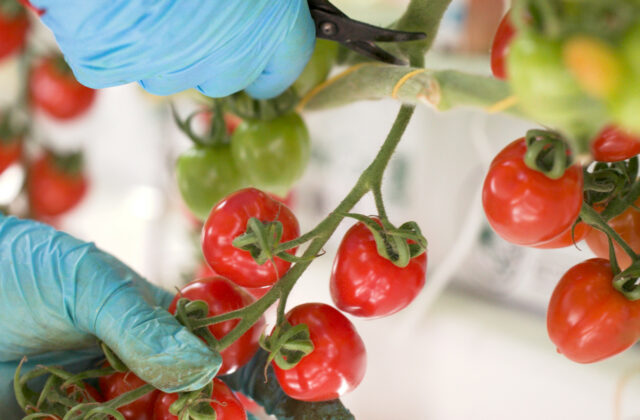 Kvalita bez kompromisov sa oplatí