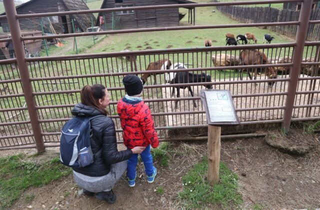 Košická ZOO chystá veľkonočný program plný zážitkov, zároveň otvorí aj 40. sezónu