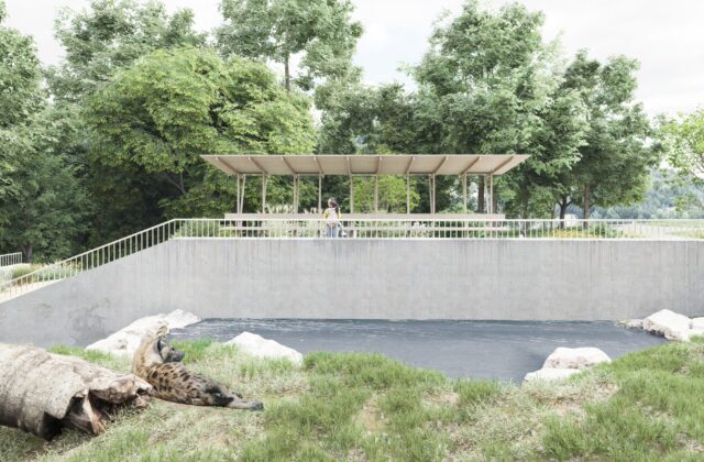 Bratislavská ZOO pripravuje nový výber pre hyeny, zameraný bude na bezpečie zvierat aj autentický zážitok-  FOTO