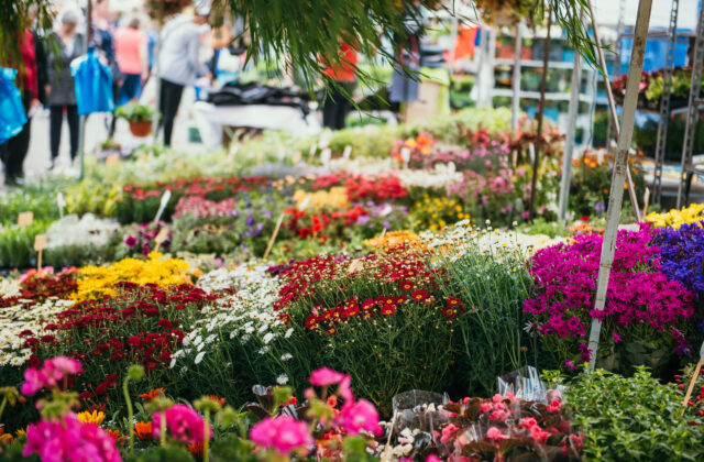 Do Nitry za nábytkom a kvetmi! Už 15.4. štartuje veľtrh Nábytok a Bývanie & Gardenia 2026