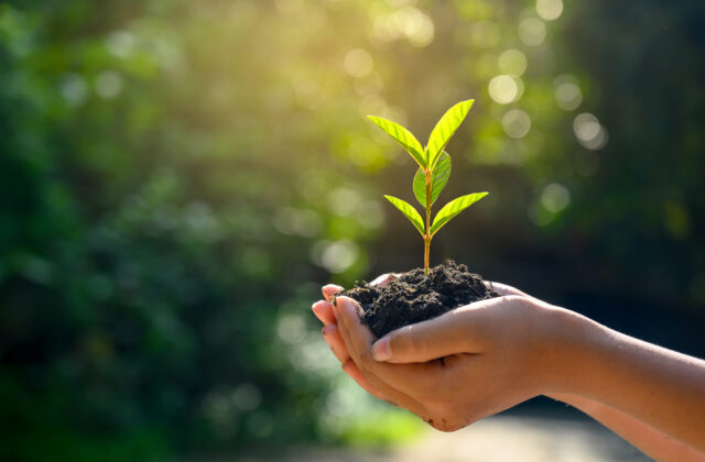 PlantHealth4Life – jednoduché kroky, ktoré chránia naše rastliny