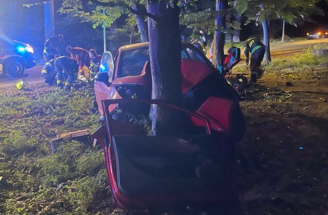 Mladá vodička vo vysokej rýchlosti narazila priamo do stromu, vážna nehoda sa stala v Bratislave – FOTO