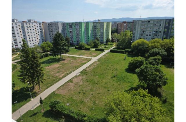 Kaufland dáva mestám zelenú: Rozhodnite, kde pribudnú nové stromy a kvety
