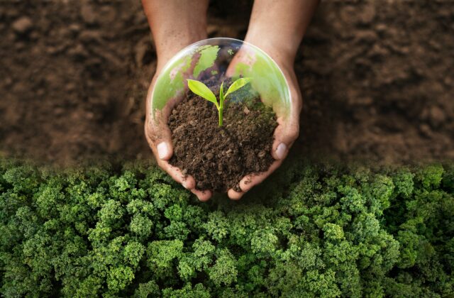 Mladí Slováci ukázali, ako meniť svet okolo seba:  Ekofond SPP spoznal nových Greenfluencerov roka