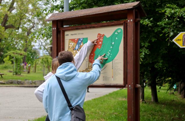 V areáli ZOO Bratislava pribudne nová zábavno-vzdelávacia atrakcia