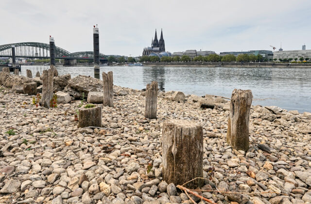 Top foto dňa (3. august 2026): Najnižšie hladiny riek Rýn a Dunaj, hustá hmla a obnova Znievskeho hradu