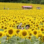 90376_japan_daily_life_4_747-640x420.jpg