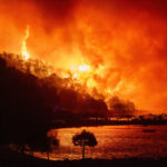 90561_croatia_extreme_weather_wildfires_84478-640x420.jpg