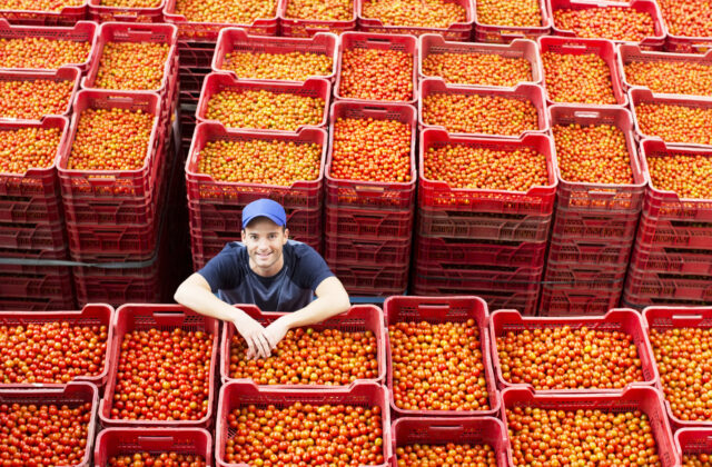 Slovensko ťahá exportný rekord španielskeho regiónu Granada, vývoz na náš trh vyskočil o 55 percent