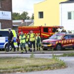 91094_sweden_sword_attack_29488-640x420.jpg