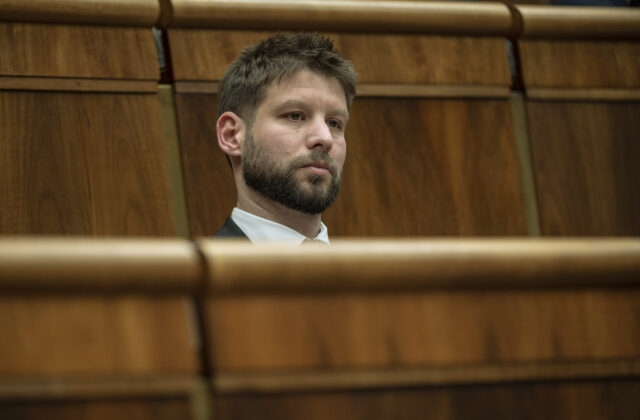Demokrati majú v prieskume menej percent ako SNS, voľby by vyhralo Progresívne Slovensko